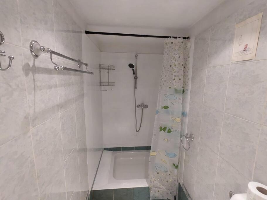 Boheme Central Apartment ทิมิชัวรา ภายนอก รูปภาพ