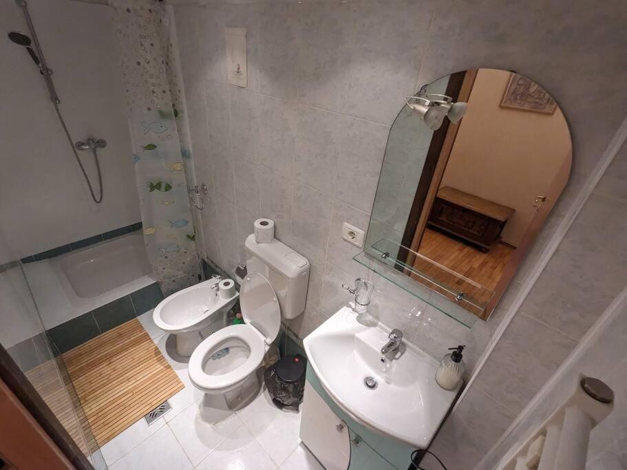 Boheme Central Apartment ทิมิชัวรา ภายนอก รูปภาพ